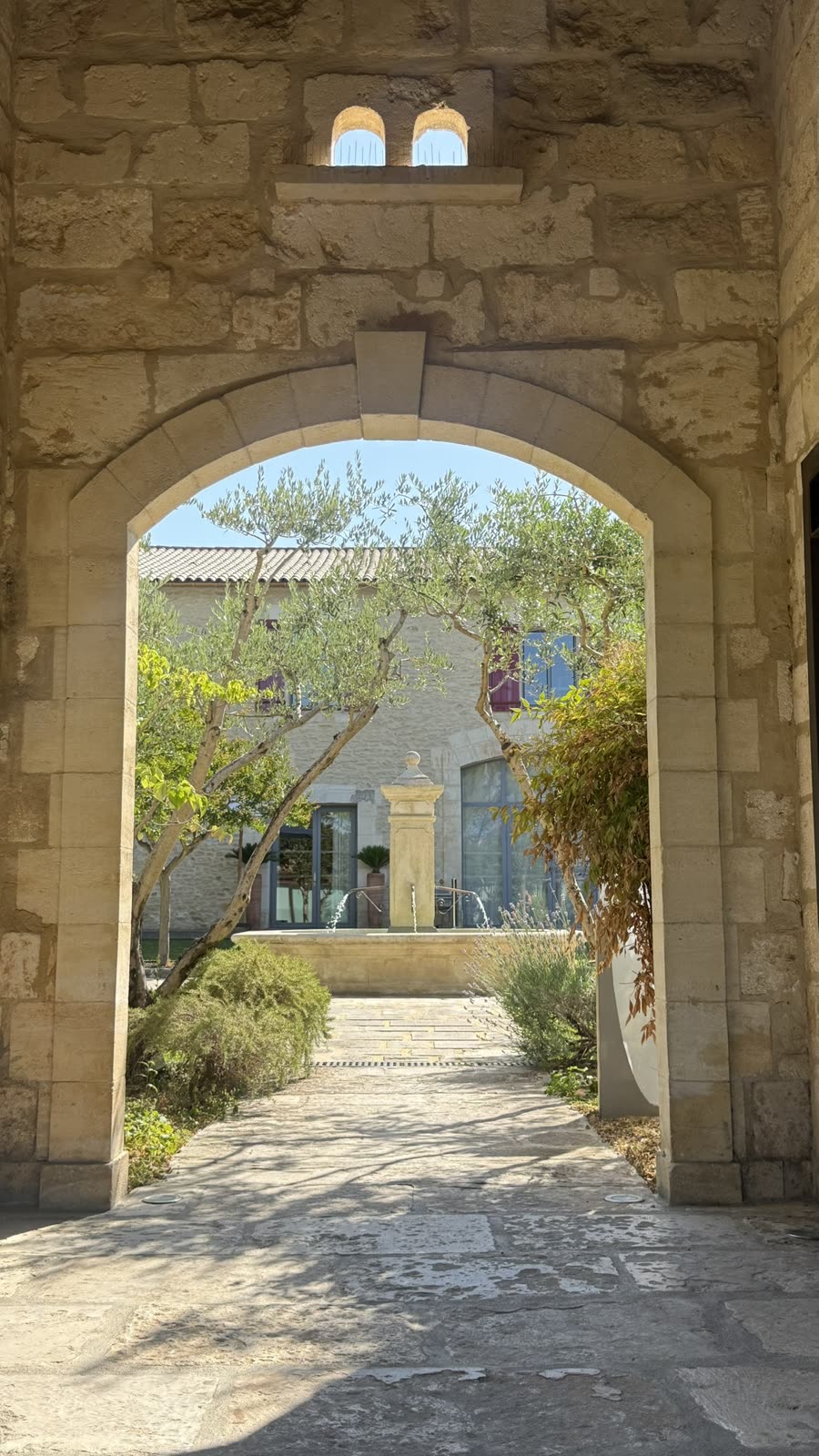 Domaine de Verchant — allée et oliviers